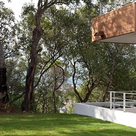 Residence Hoteliere Alcyon Porto-Vecchio  Exterior foto